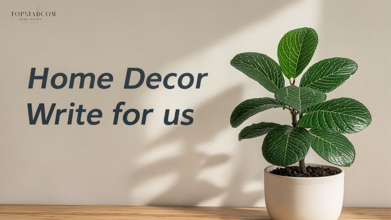 Home Decor Write for us